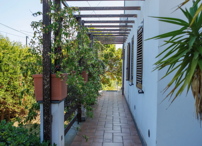 villa sofia