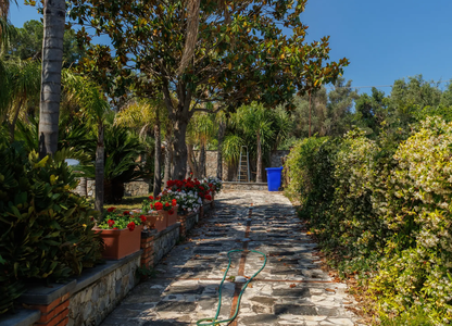 villa sofia